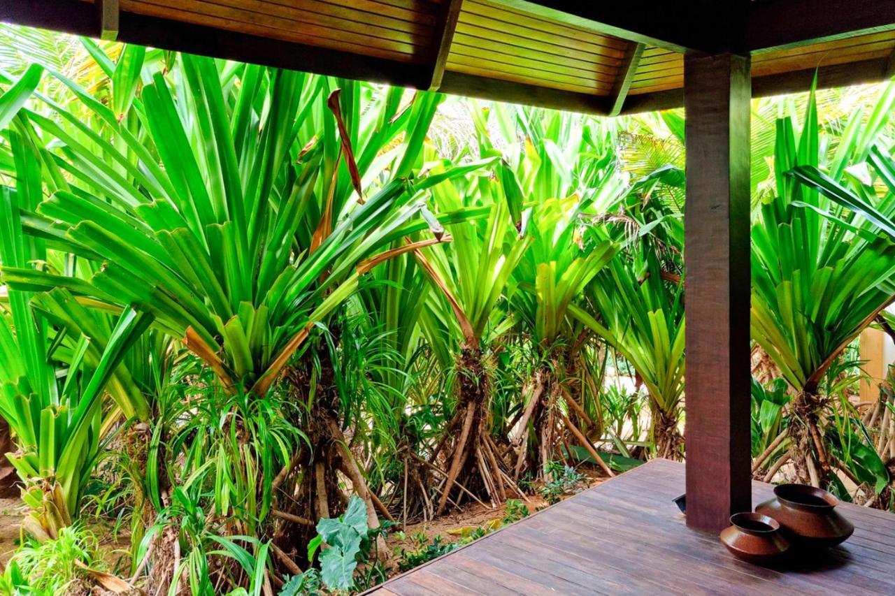 Zorah Beach Hotel Trairi Zewnętrze zdjęcie